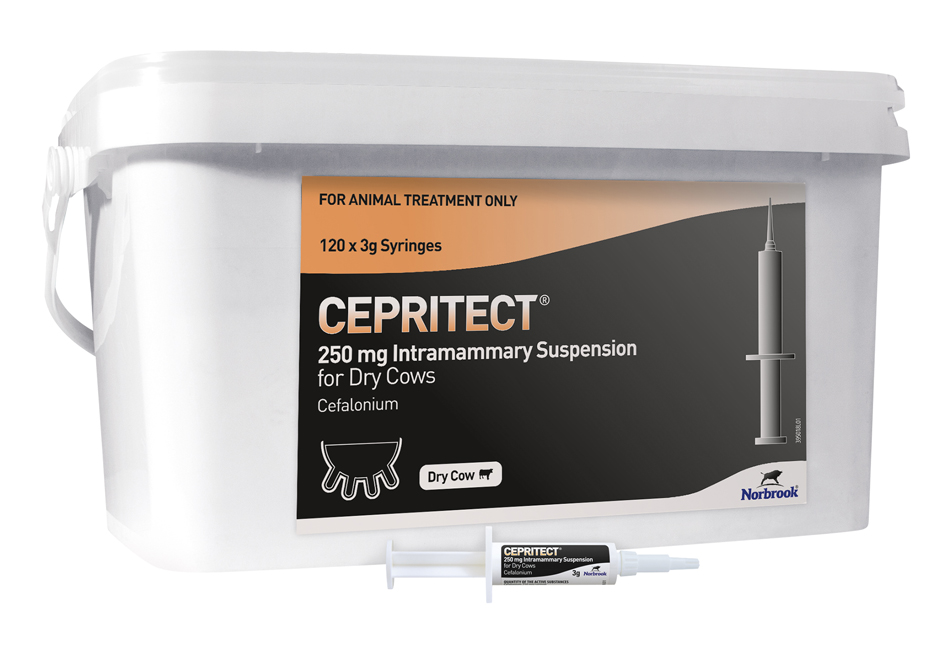 Cepritect 250 mg Intramammary Suspension for Dry Cows