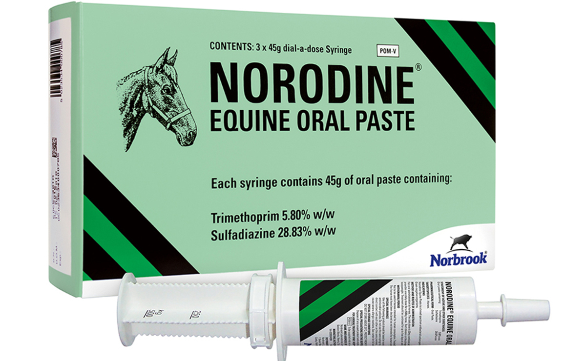 Norodine Equine Oral Paste