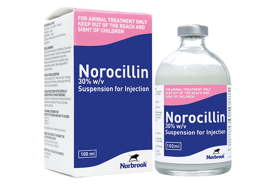 Norocillin Injection