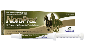 Noropraz Oral Paste