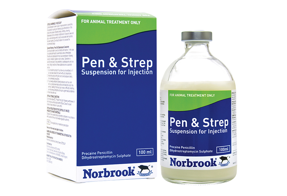 Pen and Strep Injection