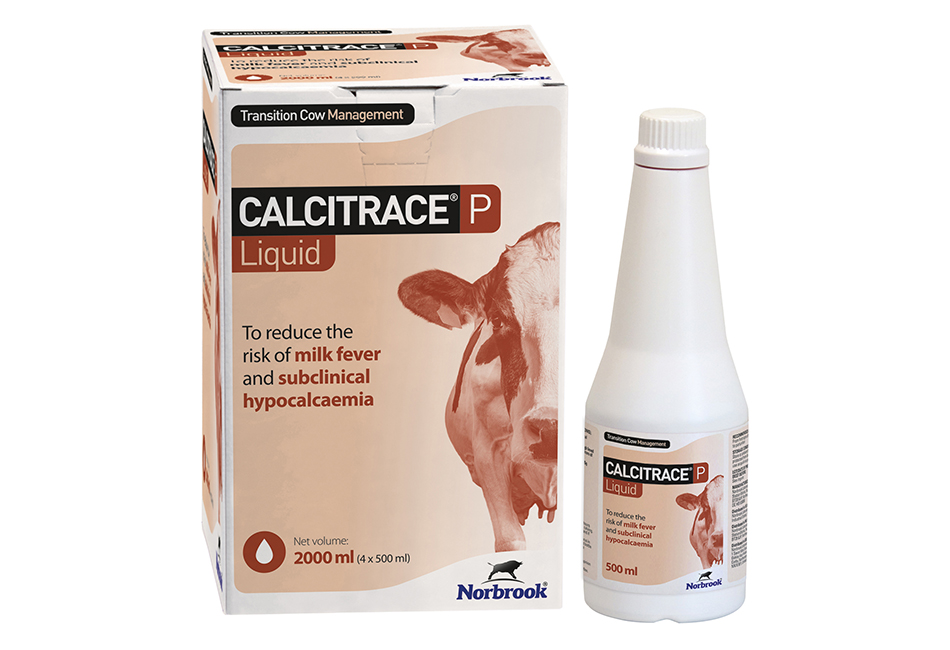 Calcitrace P Liquid