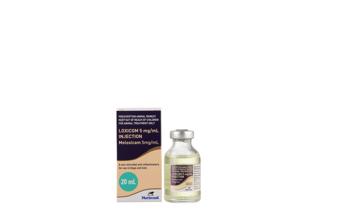 Loxicom 5mg/ml Injection | Norbrook