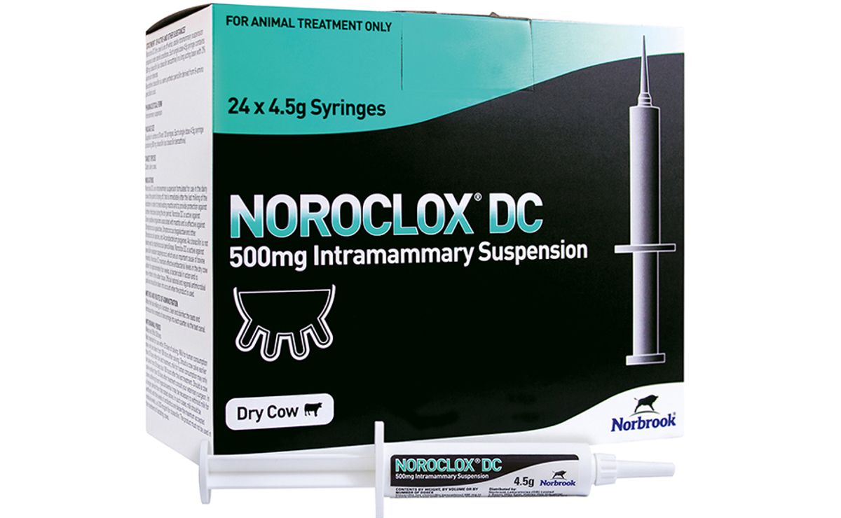 Noroclox DC