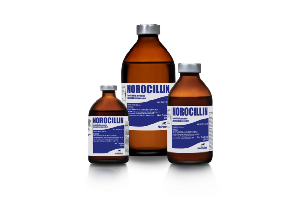 Norocillin® (penicillin G procaine injectable suspension)