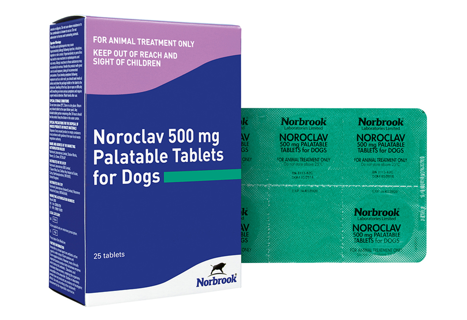 Noroclav Tablets