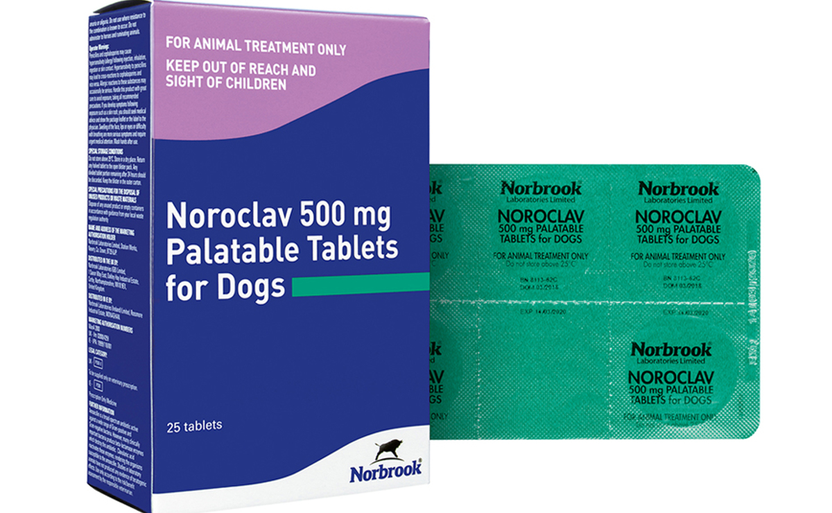 Noroclav Tablets