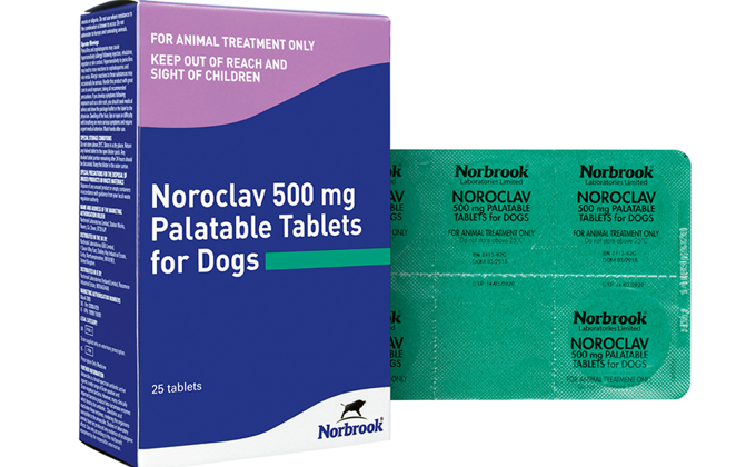 Noroclav Tablets | Norbrook Laboratories