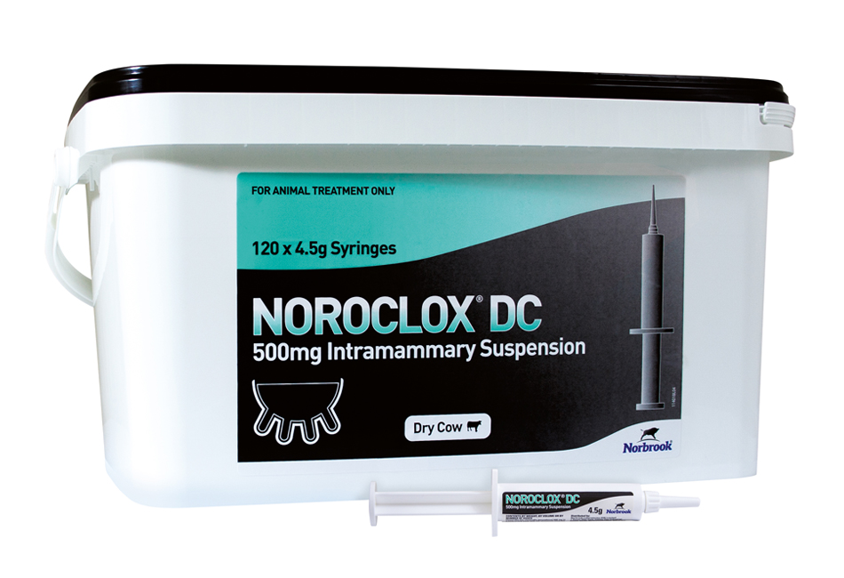 Noroclox DC