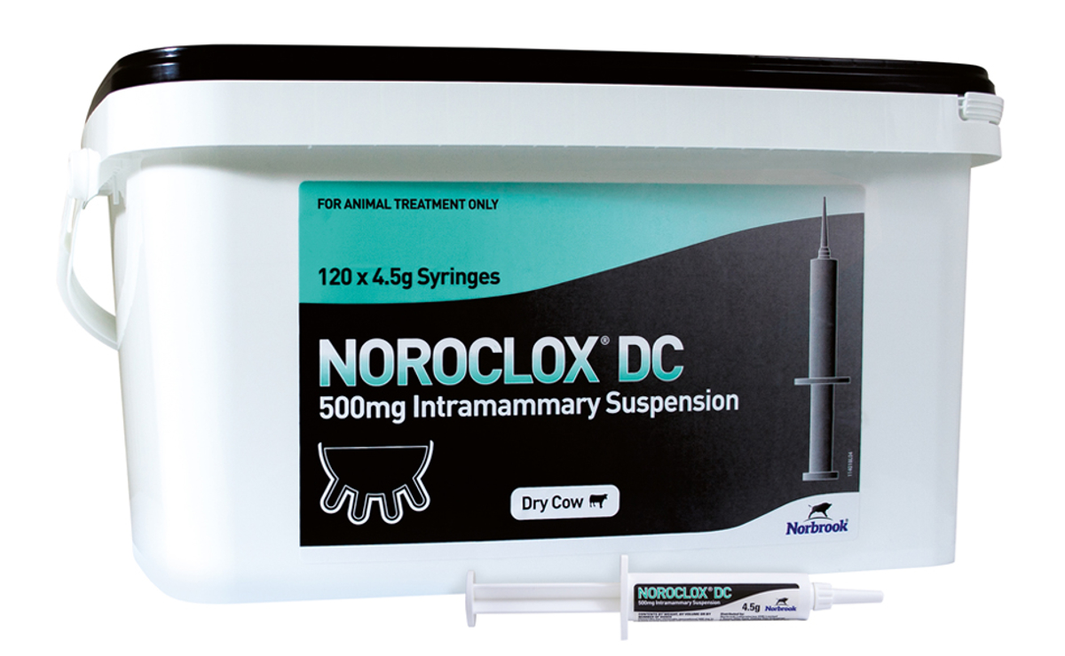 Noroclox DC