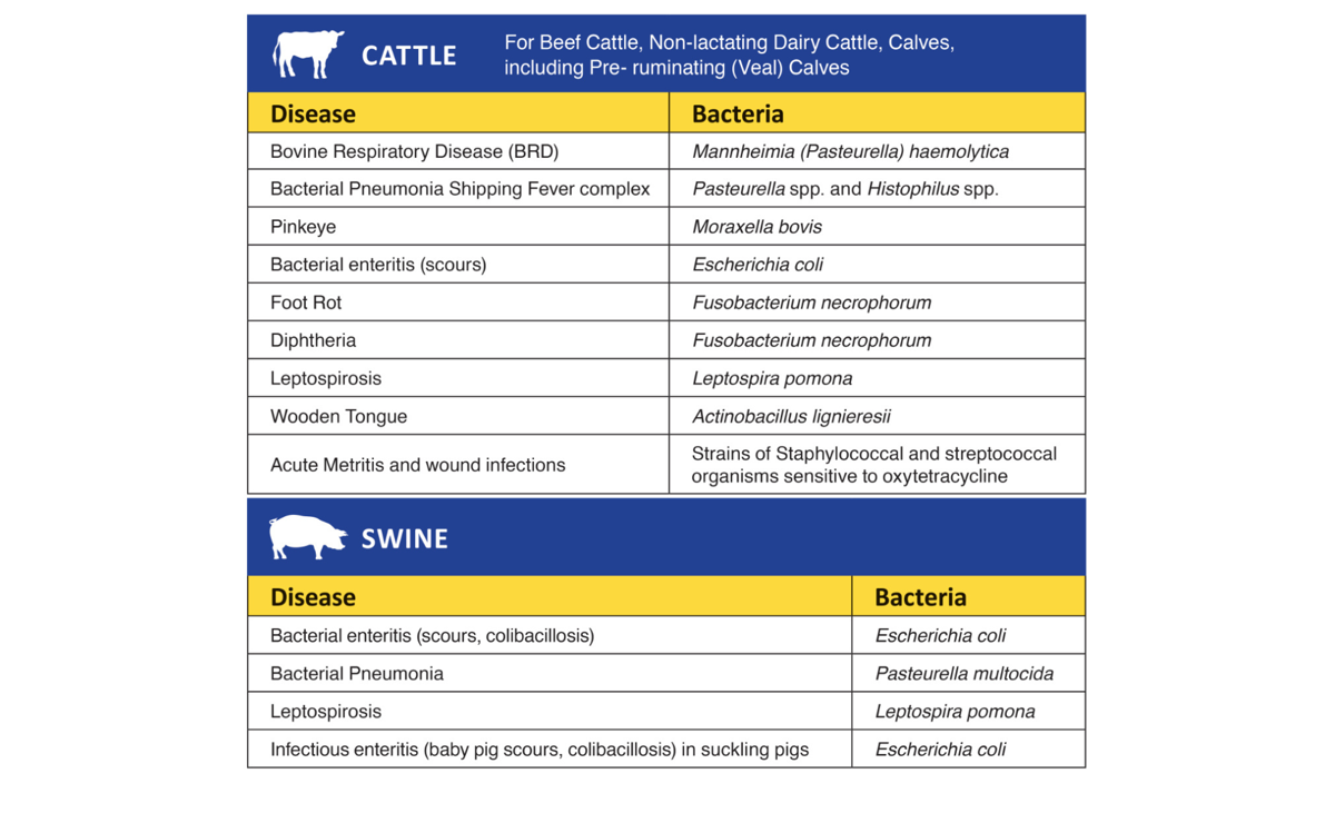 Noromycin® 300 LA (oxytetracycline injection)