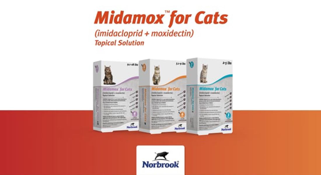 Midamox Application Video For Cats Video Thumbnail (1)
