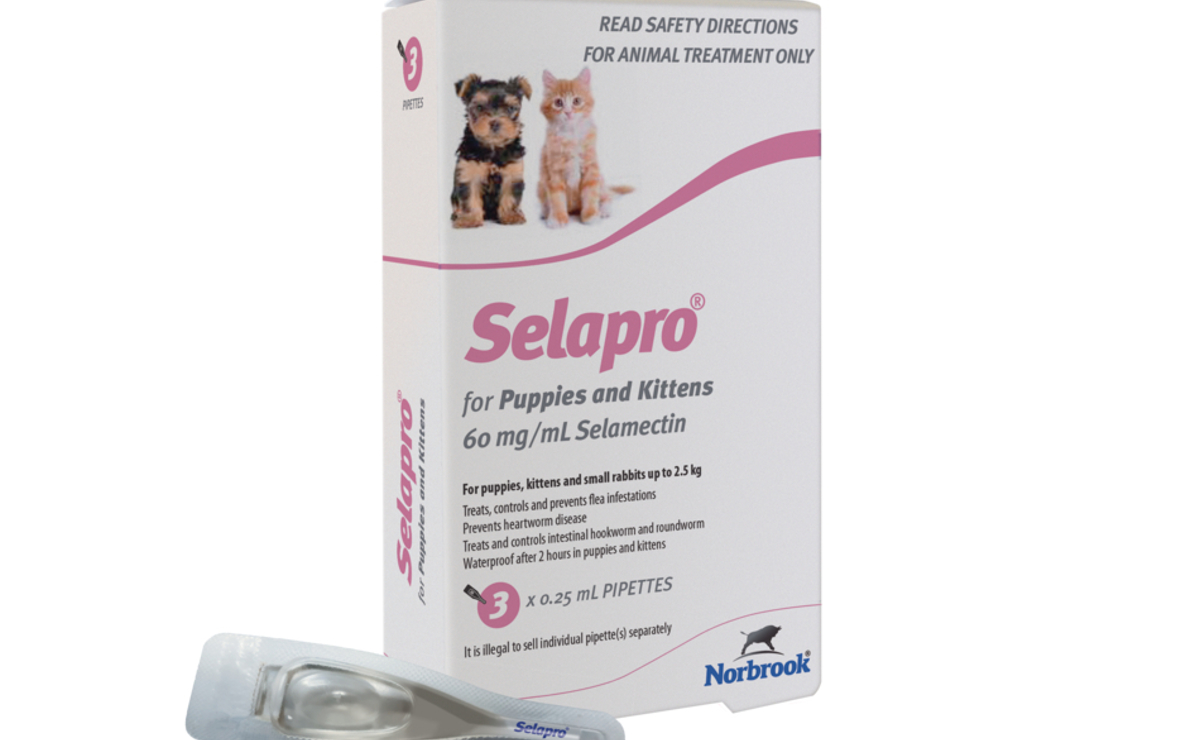 Selapro for Puppies and Kittens