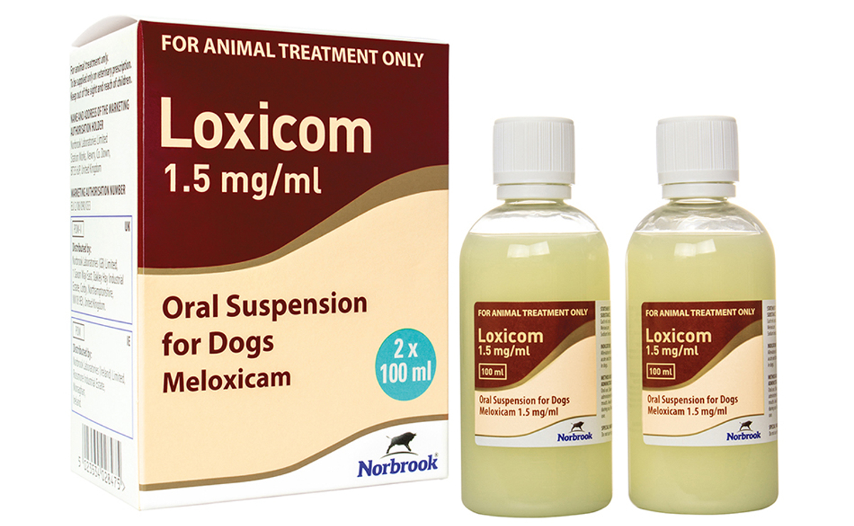 Loxicom 1.5mg/ml Oral Suspension Dogs