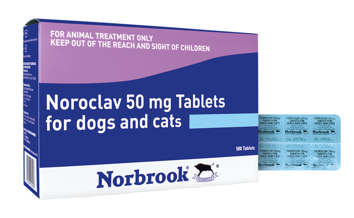 Noroclav Tablets