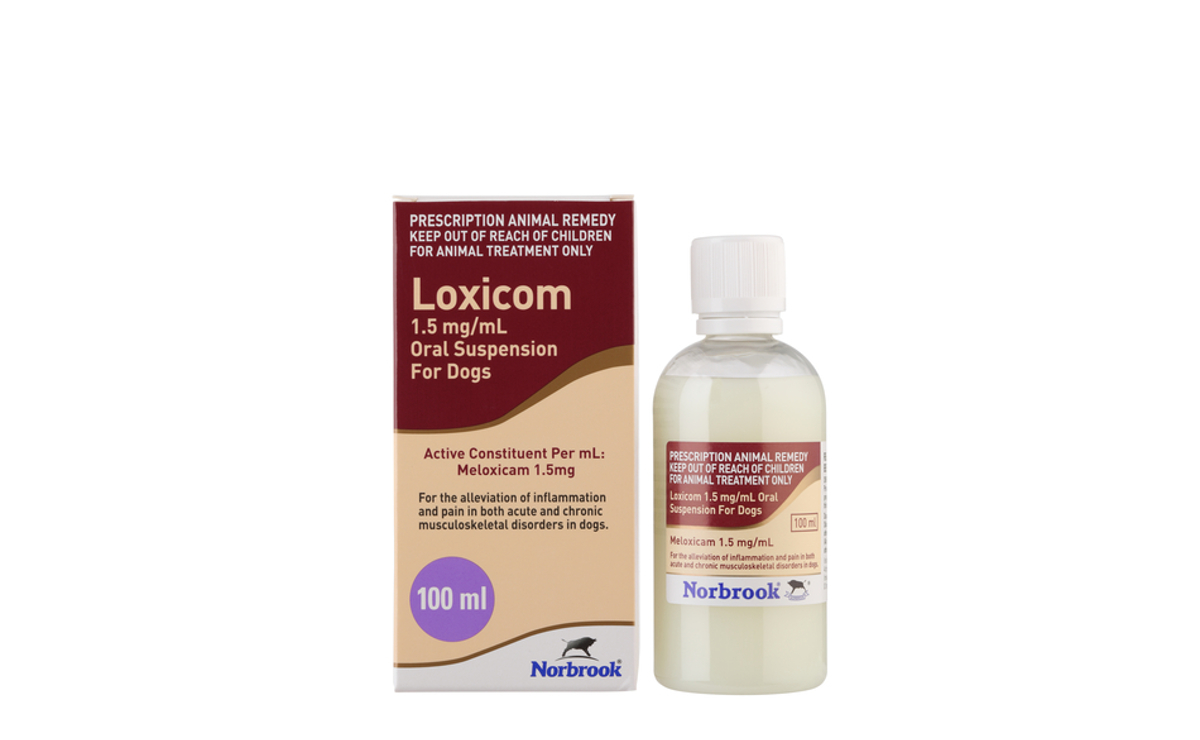 Loxicom Oral Suspension for Dogs | Norbrook Laboratories