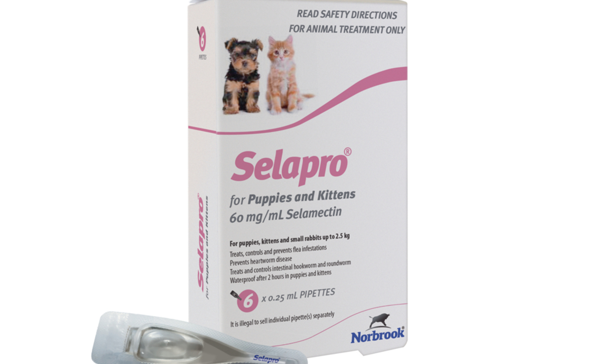 Selapro for Puppies and Kittens