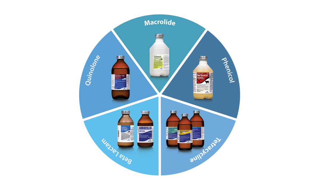 Norbrook Antibiotic Pie Chart Web
