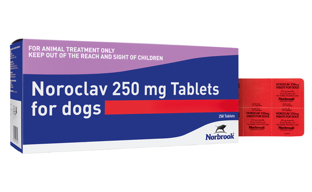 Noroclav Tablets