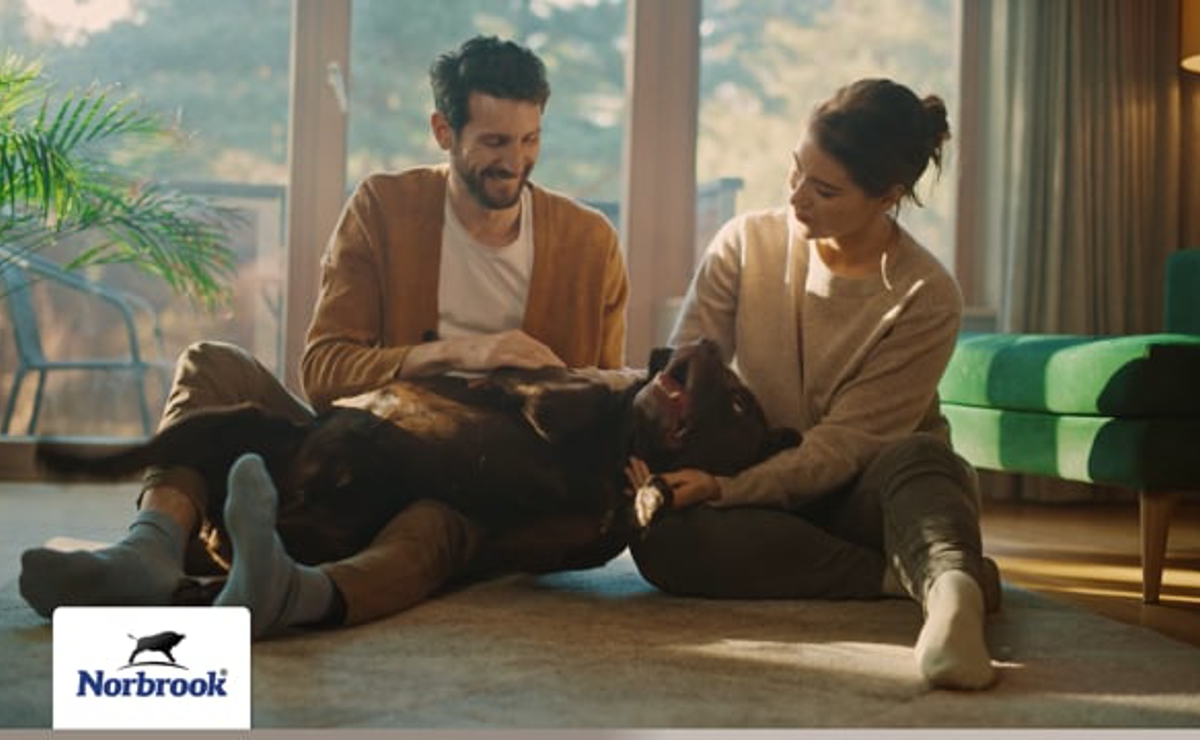 Midamox® (imidacloprid + moxidectin) for Dogs and Cats