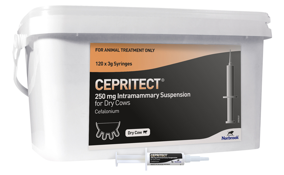 Cepritect 250 mg Intramammary Suspension for Dry Cows