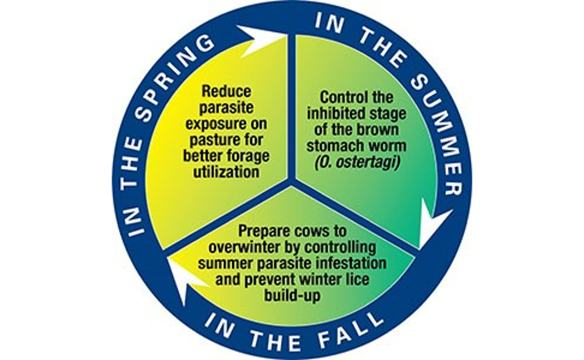 Noromectin® Pour-On (ivermectin topical solution) for Cattle