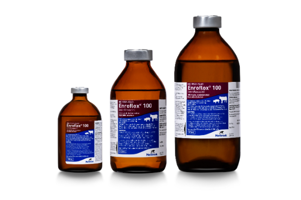Enroflox® 100 (enrofloxacin) Injectable Solution