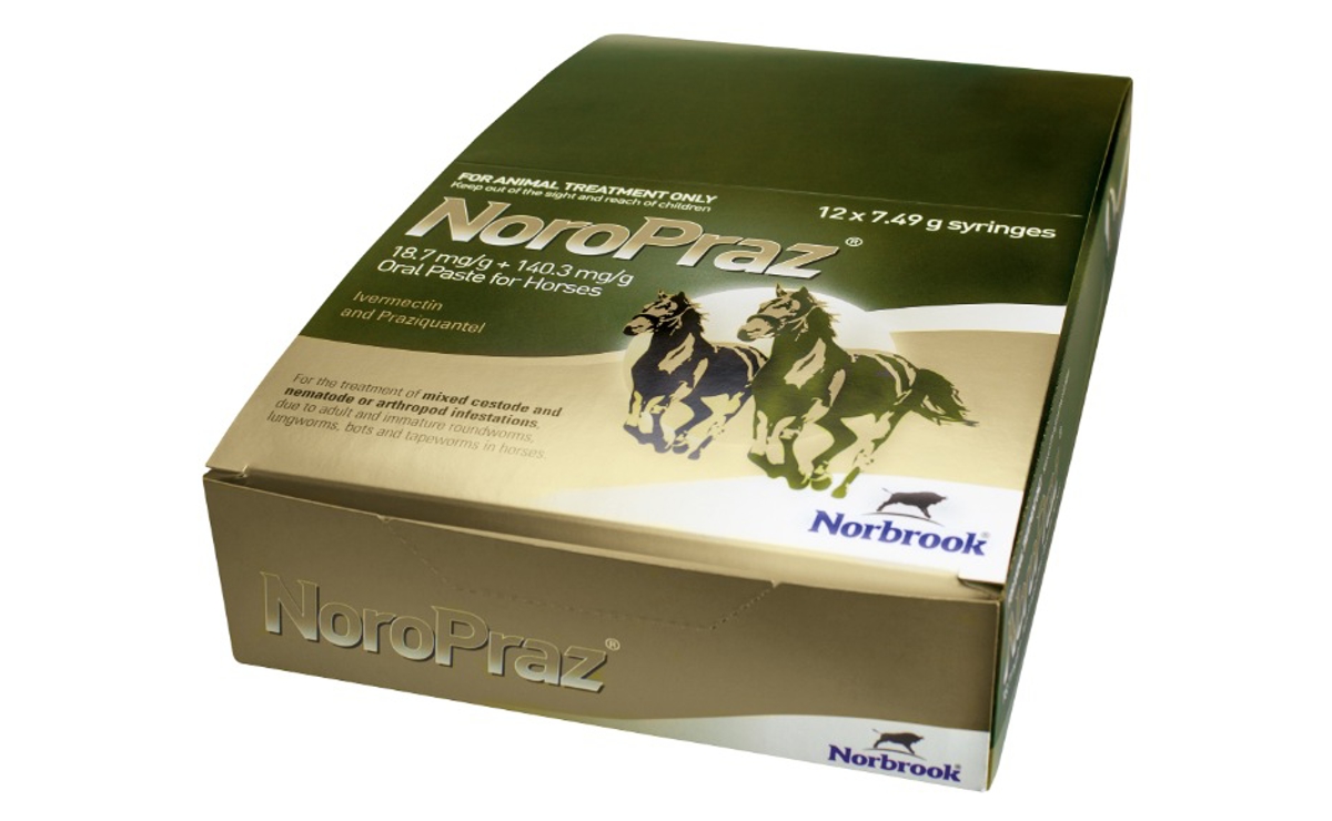 Noropraz Oral Paste