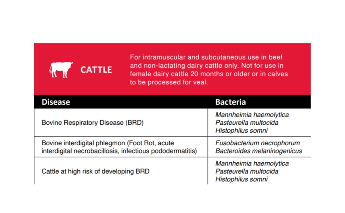 Norfenicol® (florfenicol) Injectable Solution