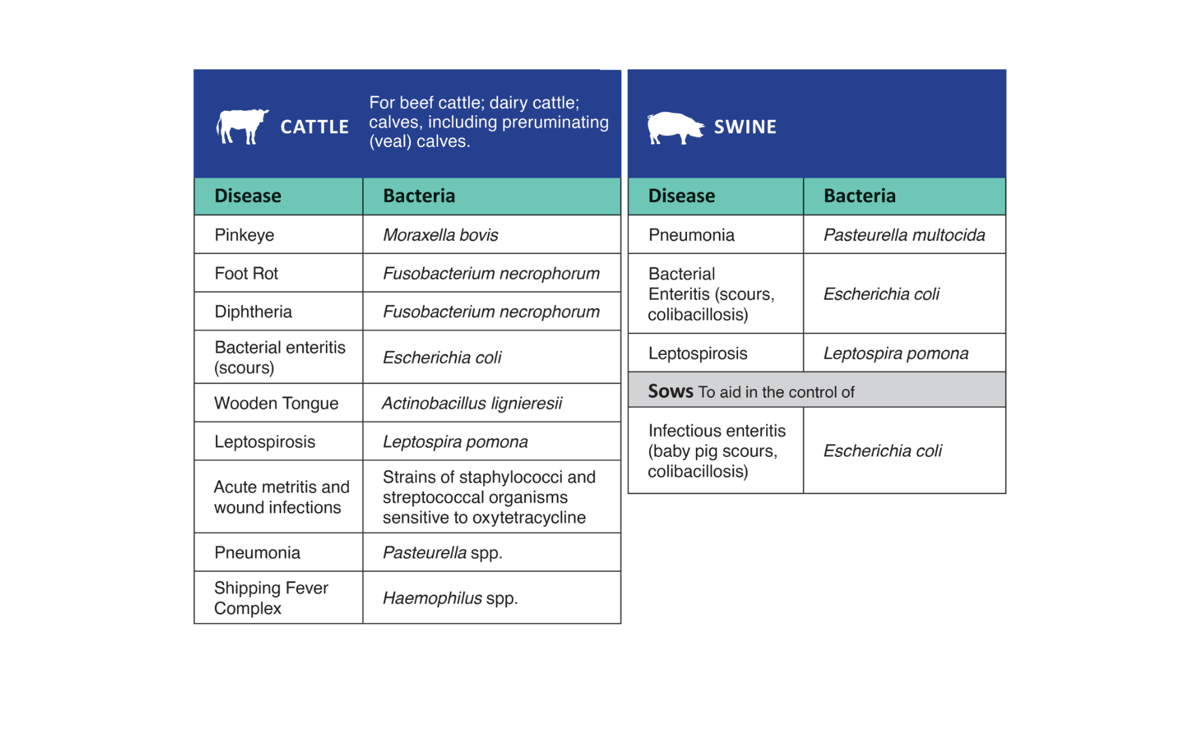 Oxytetracycline Injection 200 (oxytetracycline injection)