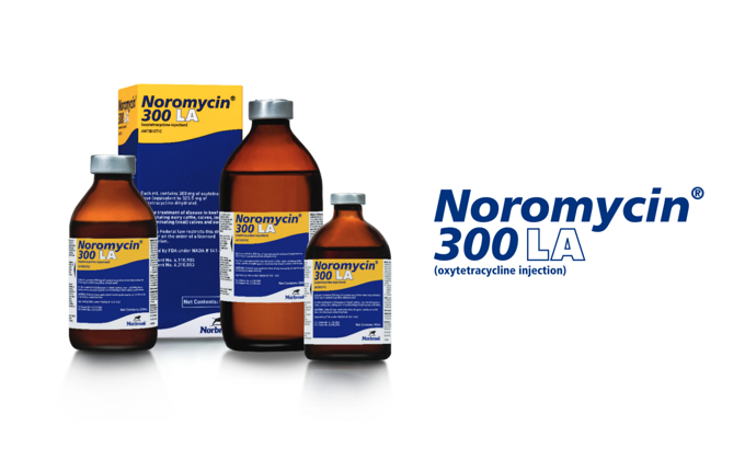 Noromycin® 300 LA (oxytetracycline injection)