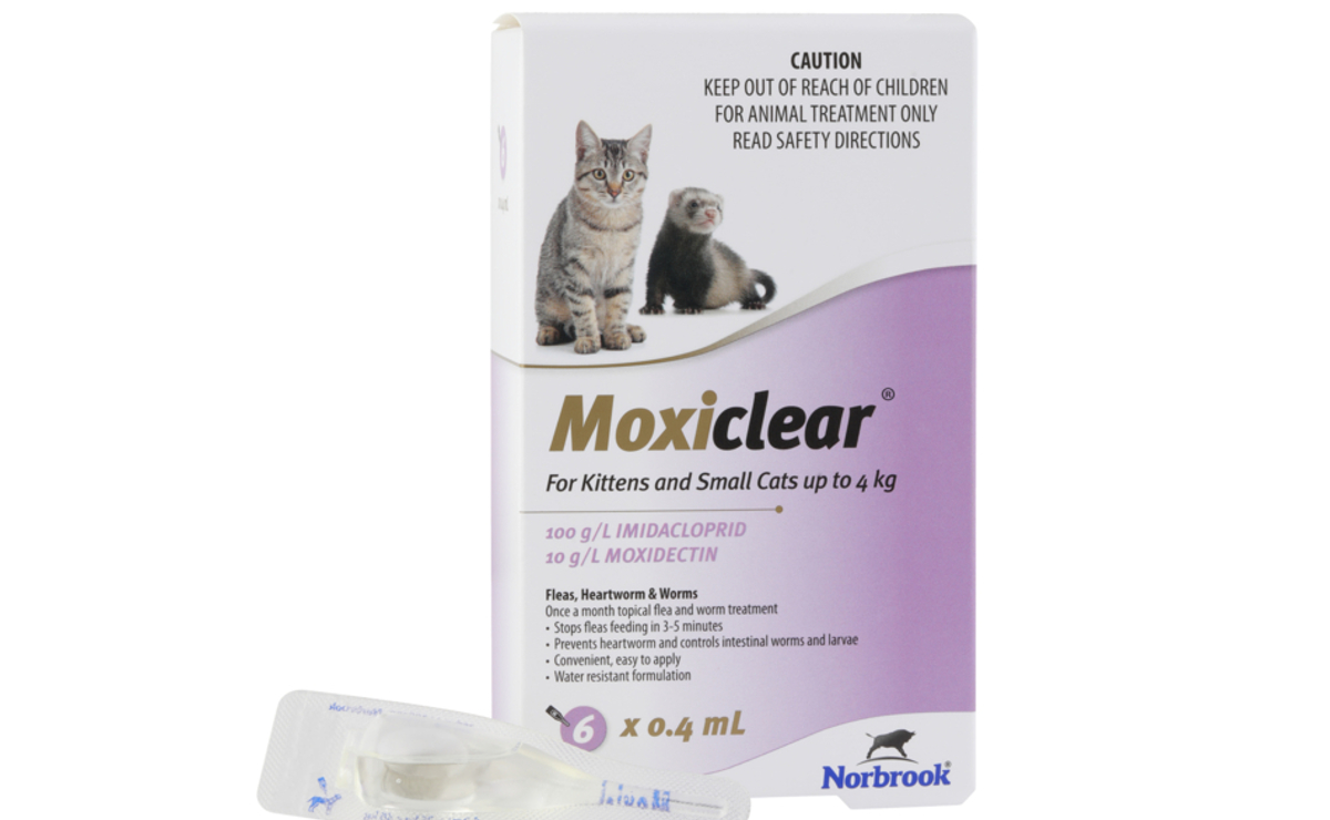 Moxiclear for Kittens and Small Cats