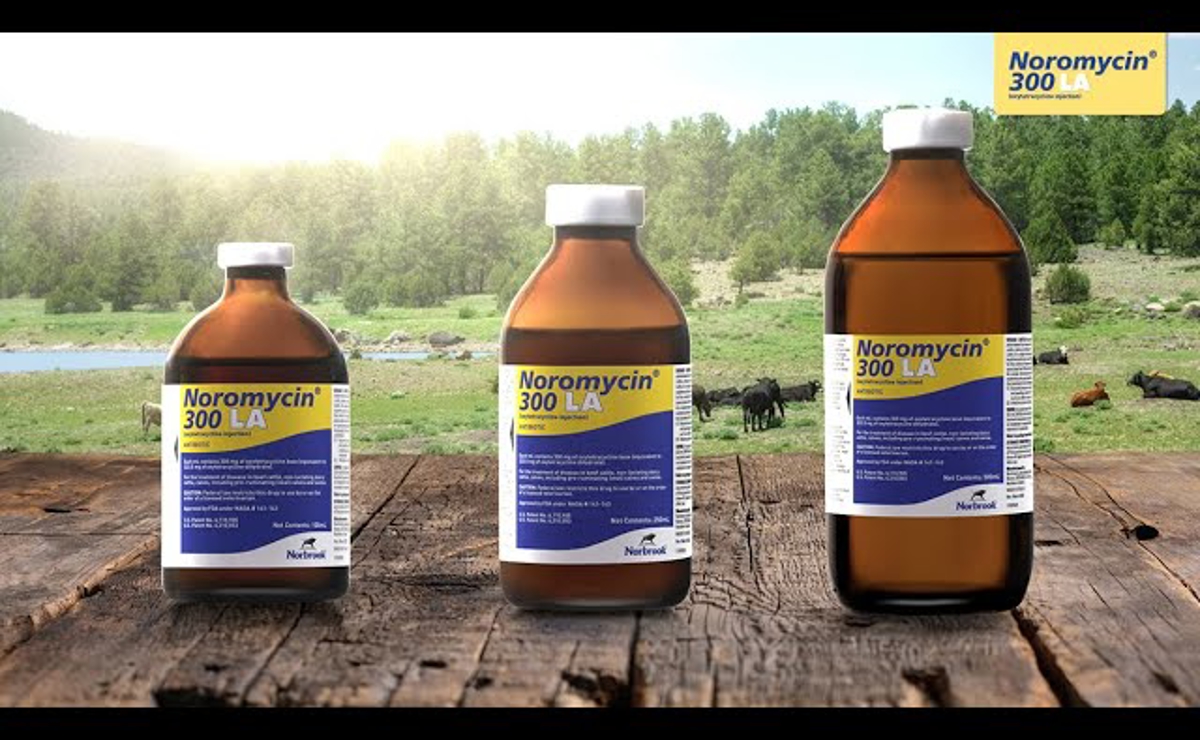 Noromycin® 300 LA (oxytetracycline injection)