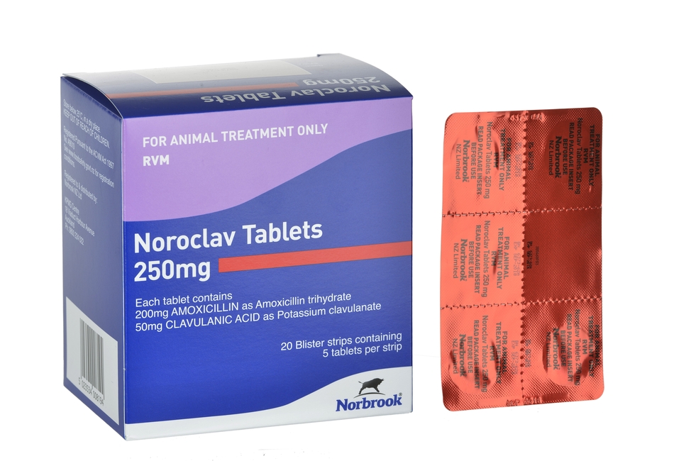 Noroclav Tablets 50mg and 250mg