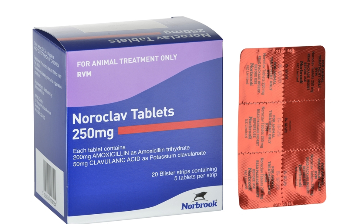 Noroclav Tablets 50mg and 250mg