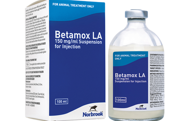 Betamox LA Injection
