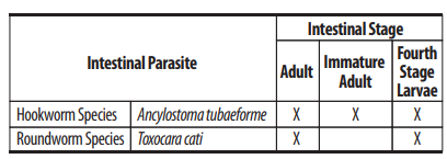 Midamox for Cats Indications Table