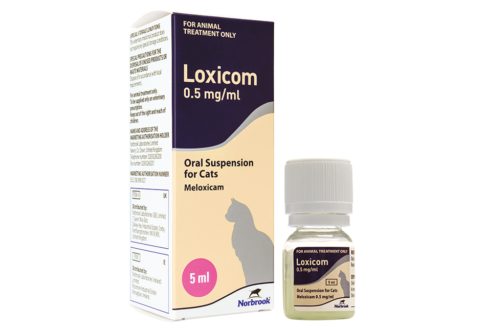 Loxicom Oral Suspension Cats