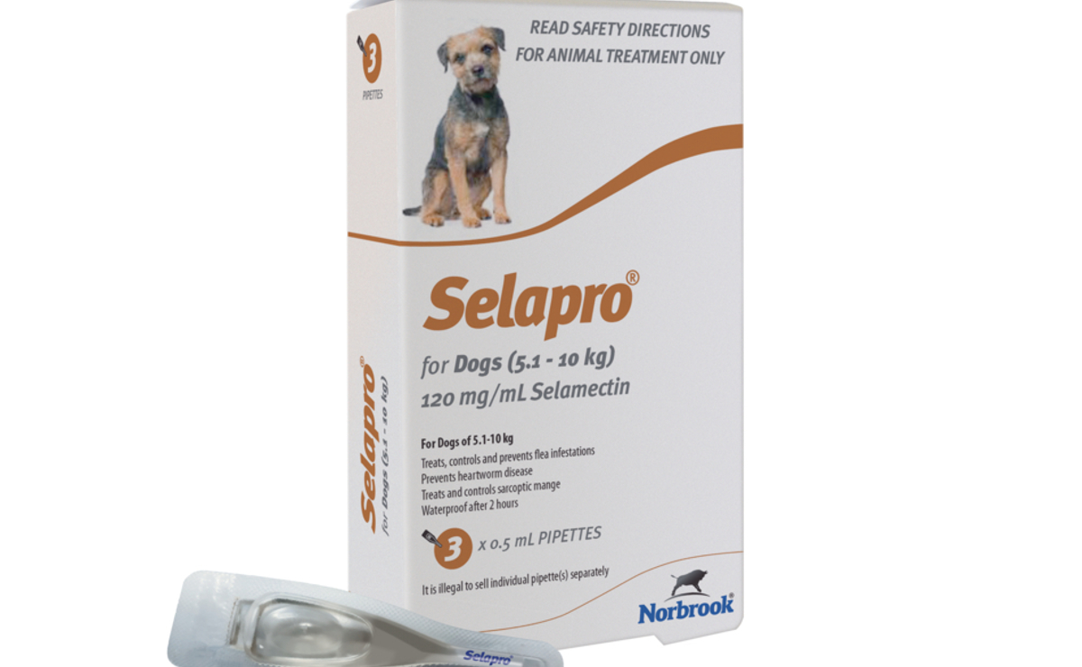 Selapro for Dogs