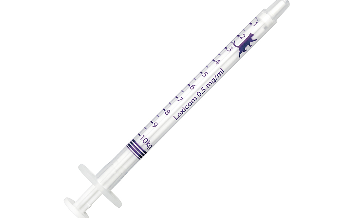 Loxicom Oral Suspension Cats