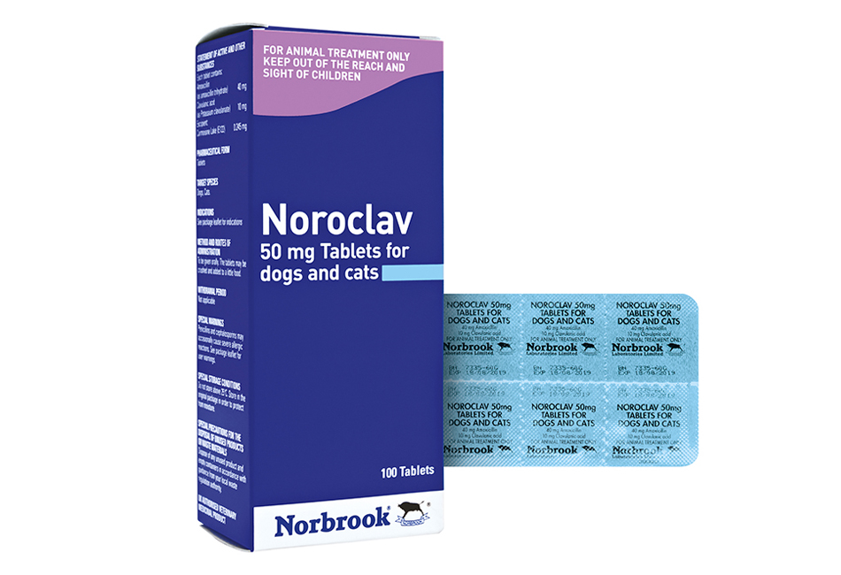 Noroclav Tablets