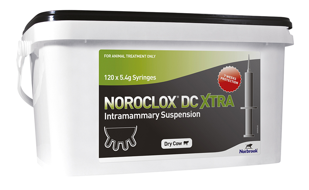 Noroclox DC Xtra Intramammary Suspension