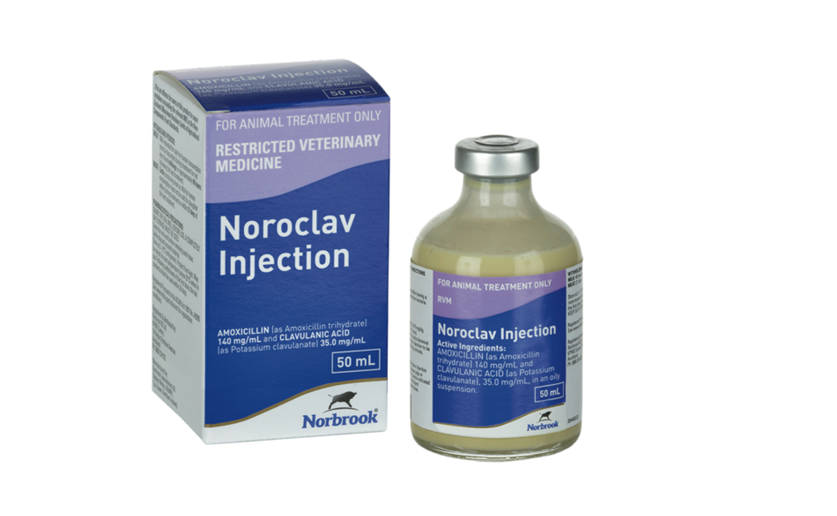 Noroclav Injection