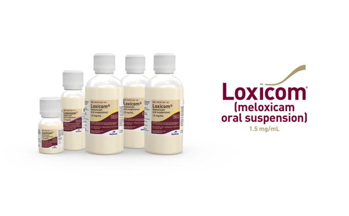Loxicom® (meloxicam oral suspension) 1.5 mg/mL | Norbrook