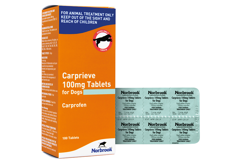 Carprieve 100Mg Tablets X 100 Blister Pack (Carton And Foil)