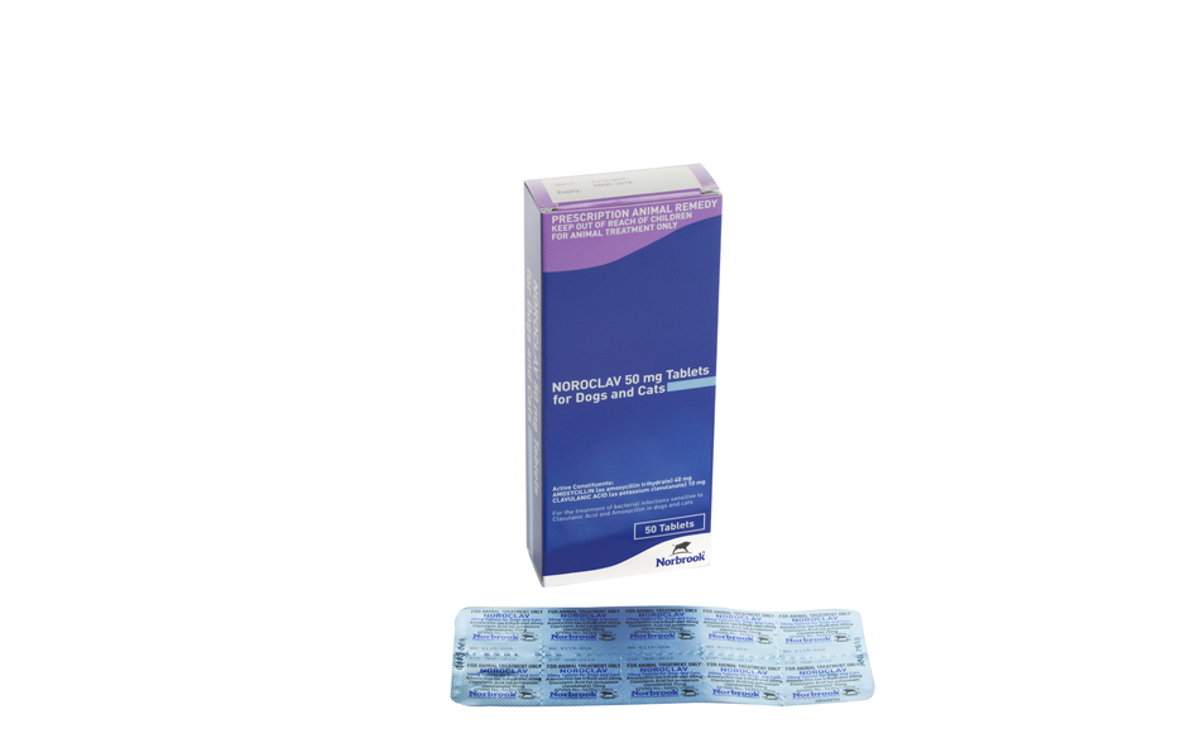 Noroclav Tablets 50mg and 250mg for Dogs and Cats