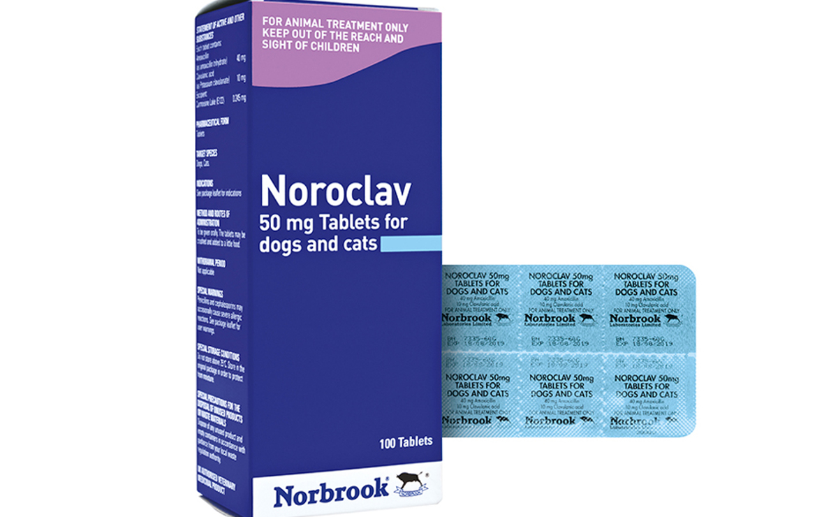 Noroclav Tablets