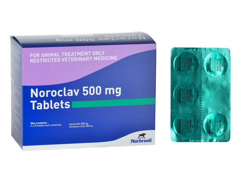 Noroclav Tablets 500mg