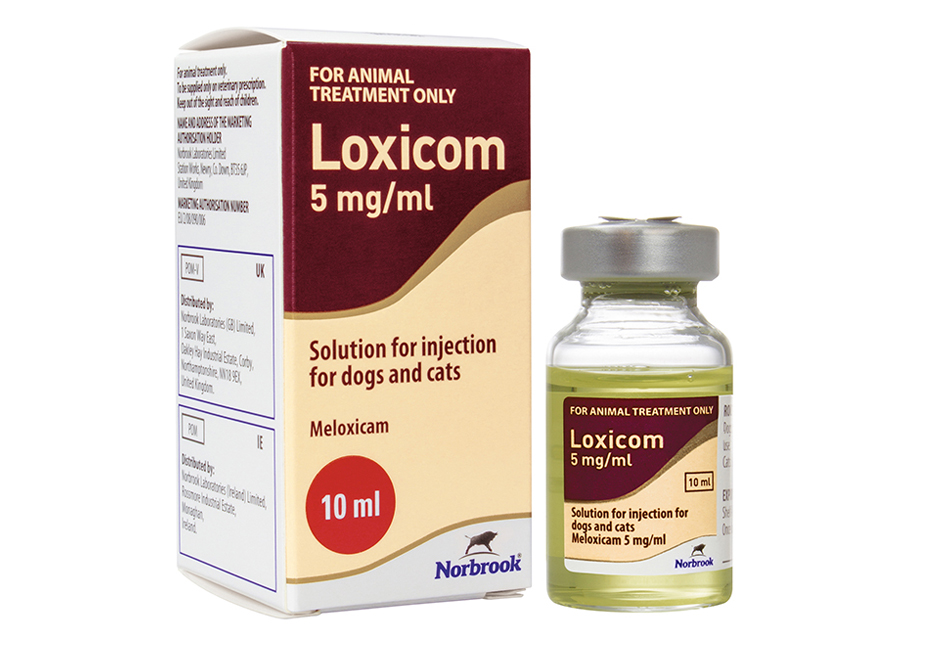 Loxicom Injection For Dogs And Cats