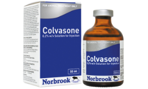 Veterinary Pharmaceutical Products | Norbrook Laboratories